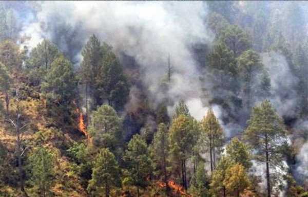 Υψηλός κίνδυνος πυρκαγιάς για την Εύβοια και την Πέμπτη