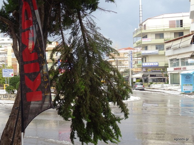 ΧΑΛΚΙΔΑ: Κλαδί δέντρου έκανε κατακόρυφο!