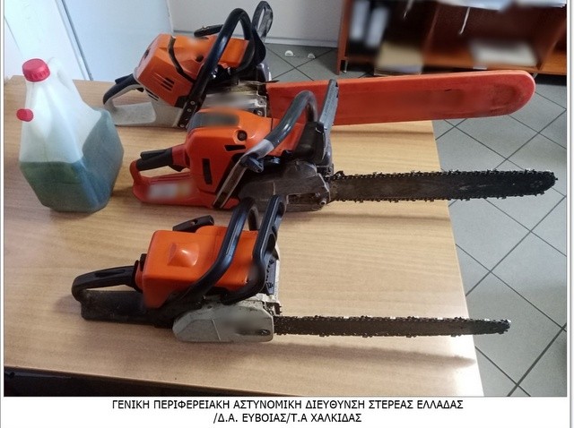 ΧΑΛΚΙΔΑ: Τρεις άντρες μπούκαραν με αλυσοπρίονα σε ξένο κτήμα και άρχισαν να κόβουν ξύλα για να τα κλέψουν