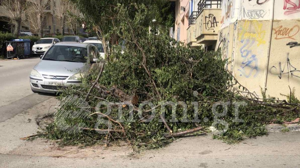 ΧΑΛΚΙΔΑ: Ένα βουνό κλαδιά στη μέση του δρόμου