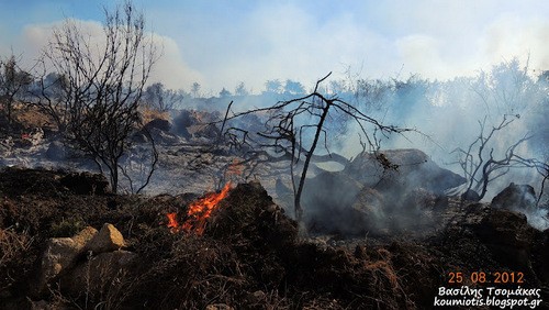 Κλιμάκιο της ΔΗΜΑΡ επισκέφτηκε τις καμένες εκτάσεις στο Αυλωνάρι
