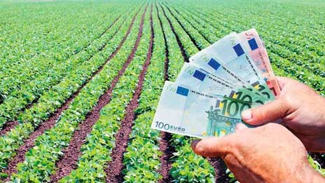 Ξεκινούν οι αποζημιώσεις ύψους 7 εκατομμυρίων σε αγρότες και κτηνοτρόφους