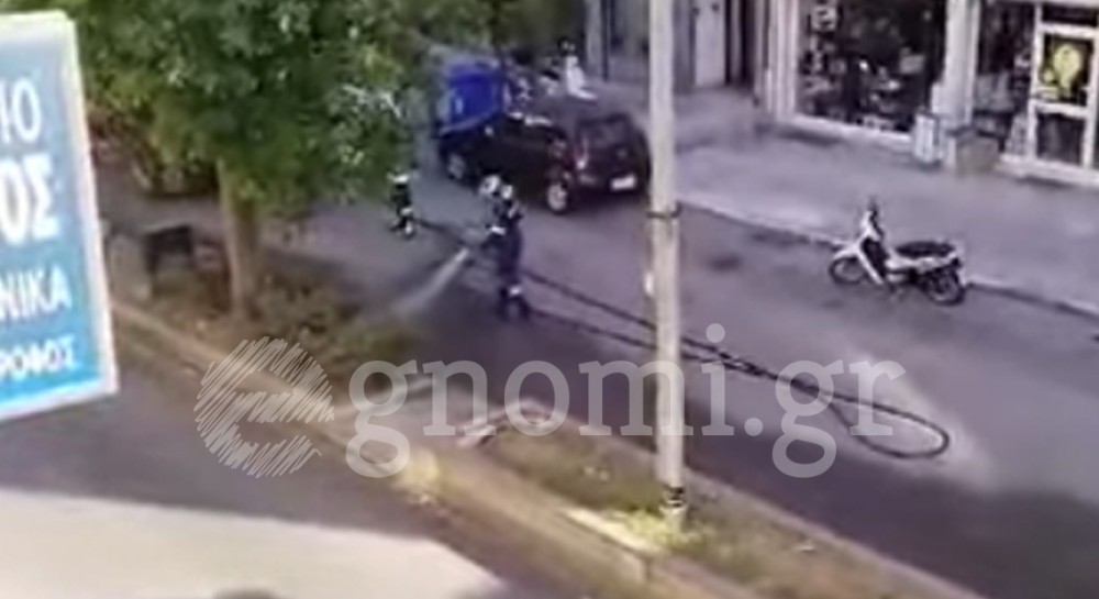 ΧΑΛΚΙΔΑ: Φωτιά σε νησίδα της Βενιζέλου (video)