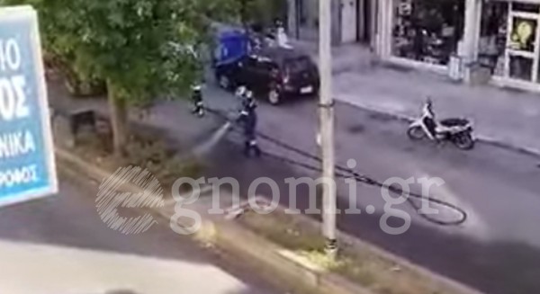 ΧΑΛΚΙΔΑ: Φωτιά σε νησίδα της Βενιζέλου (video)