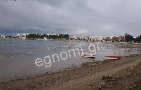 NEA APTAKH: Είδαν πτώμα στη θάλασσα