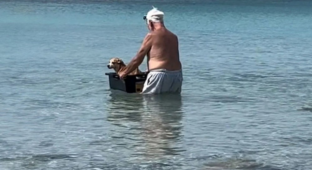 Ηλικιωμένος έκανε βαρκάδα τον σκύλο του και έγινε διάσημος (VIDEO)