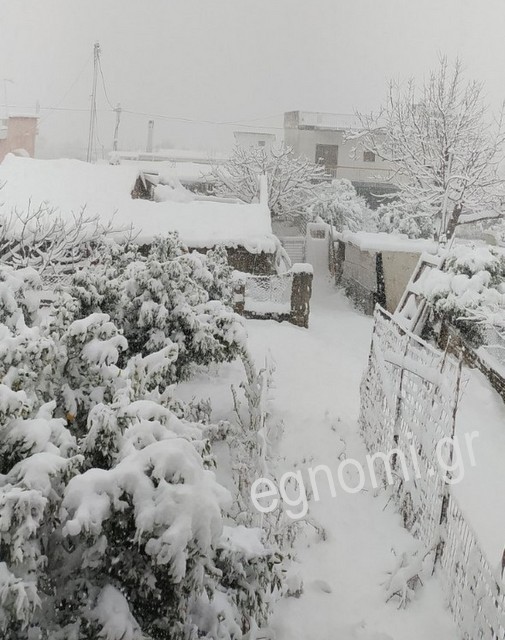 ΓΥΜΝΟ ΕΥΒΟΙΑΣ: Σκεπάστηκε από το χιόνι