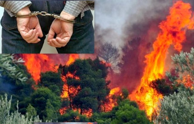 ΕΡΕΤΡΙΑ: Συνελήφθη 63χρονος Έλληνας για εμπρησμό κατά συρροή σε δάση