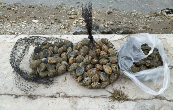 ΧΑΛΚΙΔΑ: Πήγε να ψαρέψει όστρακα 60χρονος για την Καθαρά Δευτέρα και τον ...τσίμπησε το Λιμεναρχείο