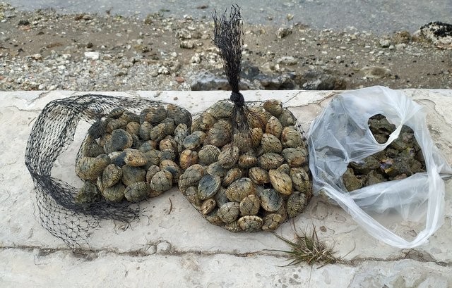 ΧΑΛΚΙΔΑ: Πήγε να ψαρέψει όστρακα 60χρονος για την Καθαρά Δευτέρα και τον ...τσίμπησε το Λιμεναρχείο