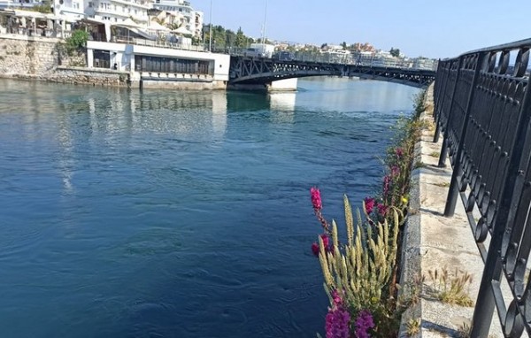 ΧΑΛΚΙΔΑ: 54χρονος έπεσε στη θάλασσα κοντά στη γέφυρα του Ευρίπου