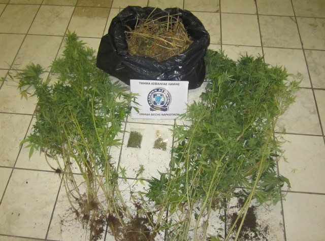 Αστυνομικός σκύλος μύρισε τα ναρκωτικά στο σπίτι 58χρονου