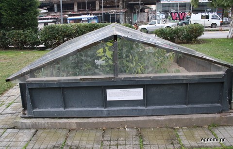 Ο Μακεδονικός τάφος έγινε ... θερμοκήπιο στην Πλατεία Αγοράς