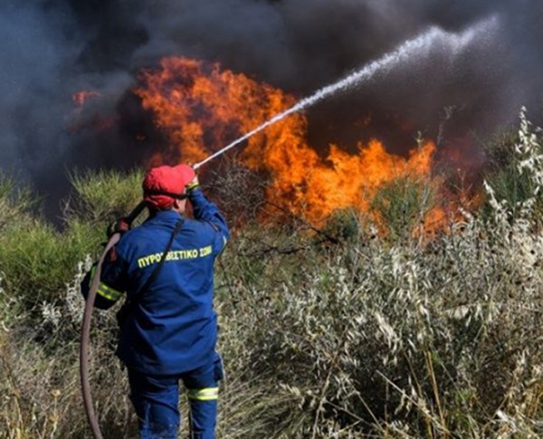 Ξέσπασε φωτιά στον Ωρωπό