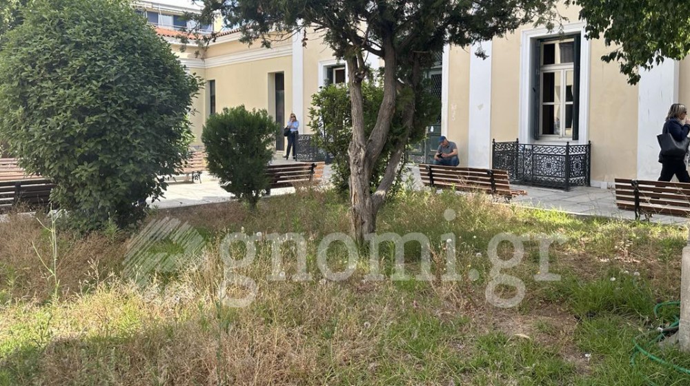 ΔΙΚΑΣΤΗΡΙΑ ΧΑΛΚΙΔΑΣ: Γεμάτα χορτάρια τα παρτέρια στον προαύλιο χώρο