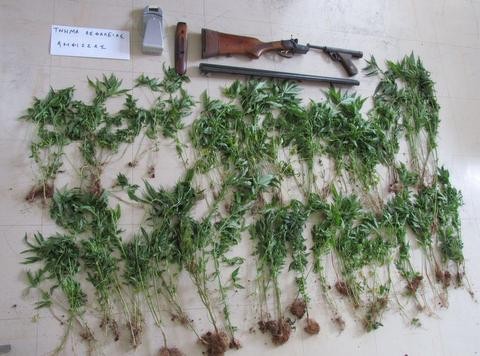 Πυροβόλησε τον γείτονα και αποκαλύφθηκε ότι καλλιεργούσε χασίς