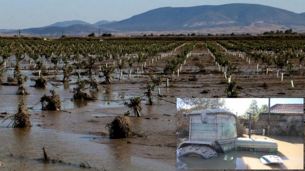 Καθυστερεί η στήριξη στους αγρότες και κτηνοτρόφους που επλήγησαν από φυσικές καταστροφές