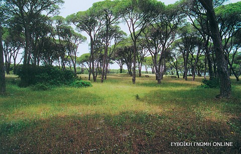 Επίλυση ιδιοκτησιακού καθεστώτος της Νότιας Καρυστίας