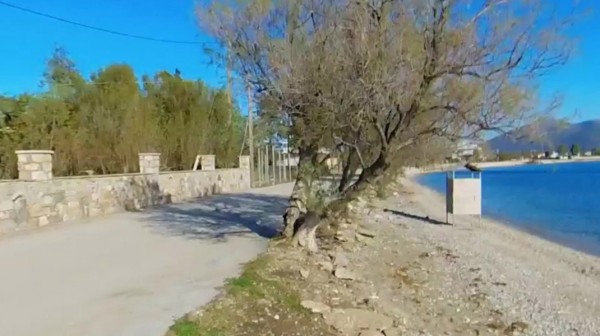 ΑΛΙΒΕΡΙ: Αυτοκίνητο εξετράπη από την πορεία του