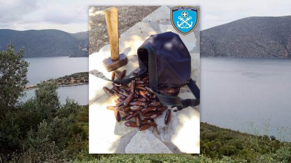 ΛΙΜΕΝΑΡΧΕΙΟ ΧΑΛΚΙΔΑΣ: Πρόστιμο για παράνομη αλιεία πετροσωλήνων στα Σκορπονέρια