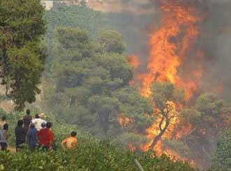 Νεκρός από φωτιά στη Λακωνία