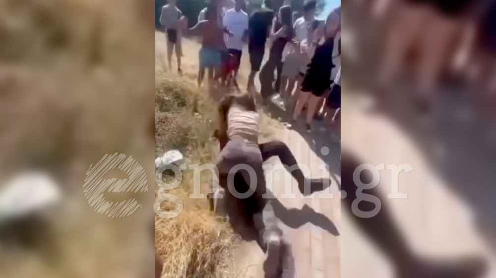 ΒΑΣΙΛΙΚΟ: Άγριο ξύλο μεταξύ μαθητριών και συνομήλικοι ζητωκραυγάζουν...(VIDEO)