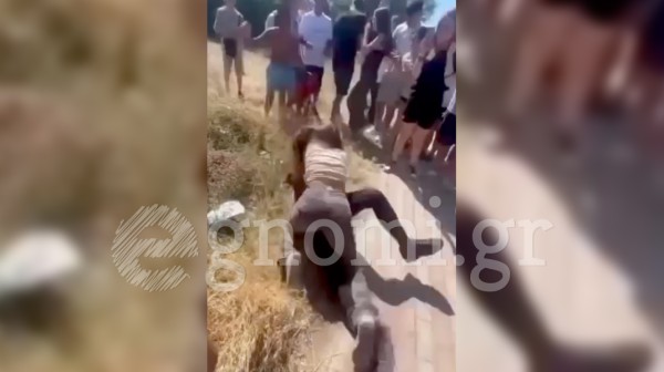 ΒΑΣΙΛΙΚΟ: Άγριο ξύλο μεταξύ μαθητριών και συνομήλικοι ζητωκραυγάζουν...(VIDEO)
