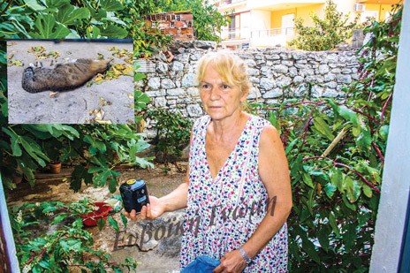 ΧΑΛΚΙΔΑ: Δολοφόνοι με δηλητήριο έξω απ' τον Ζωόφιλο Σύλλογο