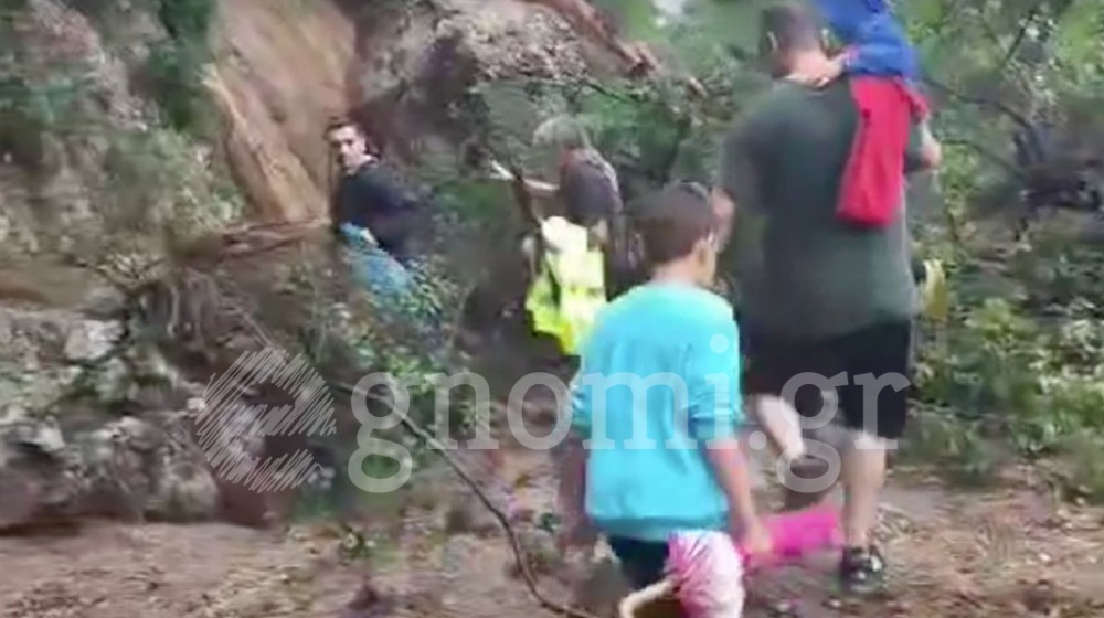 ΠΗΛΙ: Έφυγαν με τα πόδια από το σπίτι τους (VIDEO)