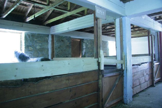 Βιάσαν 16χρονο μέσα σε στάβλο