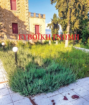 ΤΡΙΑΔΑ ΜΕΣΣΑΠΙΩΝ: Μαλλιά-κουβάρια έγιναν δήμος και εθελοντές για τον καθαρισμό