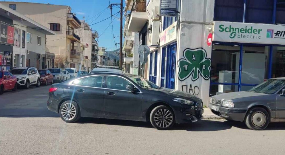 ΧΑΛΚΙΔΑ: Αυτό είναι που λέμε παρκάρισμα γωνία!