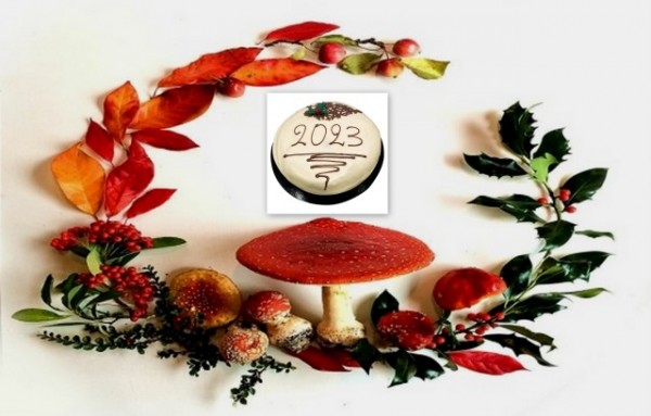 ΧΑΛΚΙΔΑ: Κοπή βασιλόπιτας με πλούσιο πρόγραμμα από τον Σύλλογο Άνθρωπος-Ελπίδα-Πολιτισμός