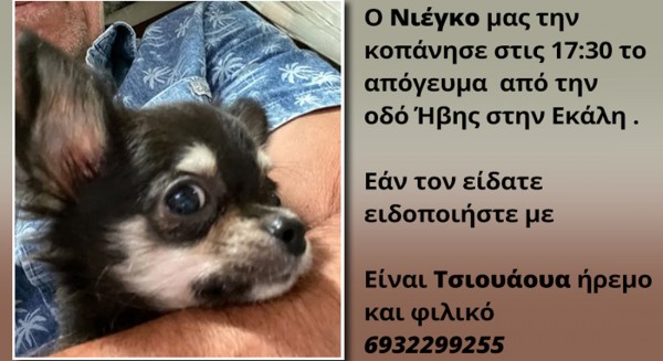 O Μάκης Τριανταφυλλόπουλος έχασε τον σκύλο του