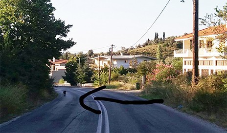 ΔΗΜΟΣ ΚΥΜΗΣ-ΑΛΙΒΕΡΙΟΥ: Προειδοποιούν για επικίνδυνο σκυλί