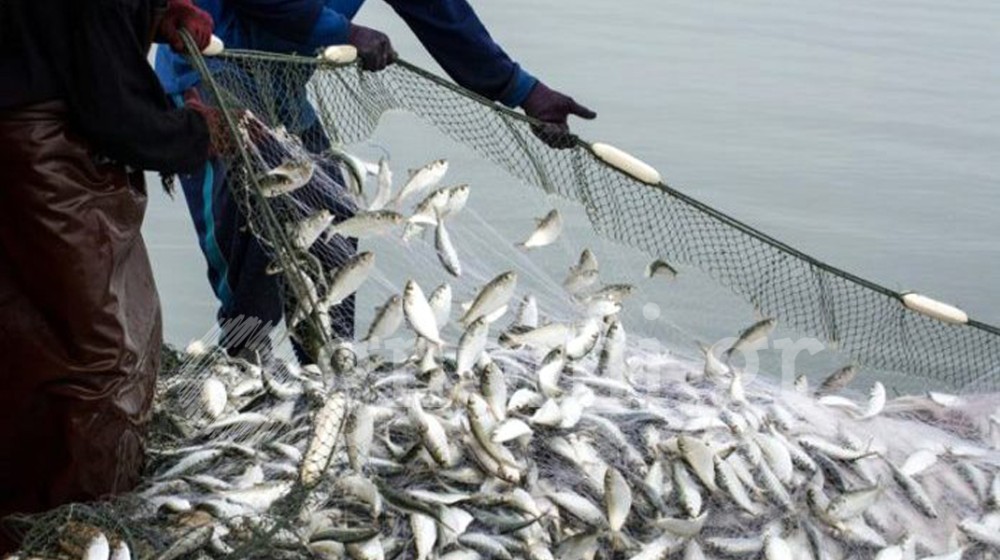 Σε λειτουργία ο ψηφιακός χάρτης απαγορευμένων περιοχών αλιείας