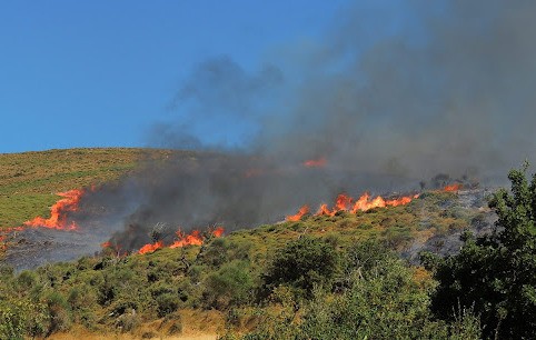 ΚΑΡΥΣΤΟΣ: Άρπαξε μεγάλη φωτιά στην περιοχή του Κάμπου