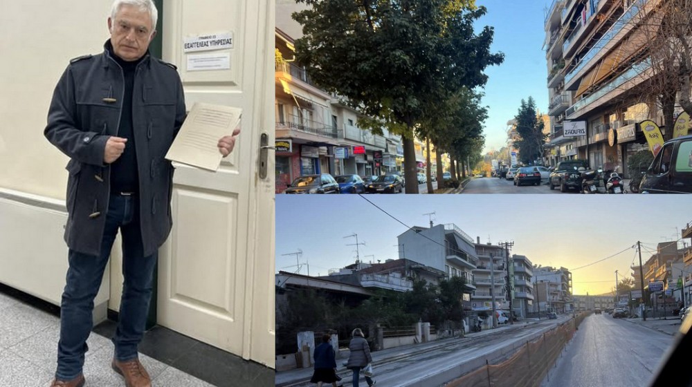 ΧΑΛΚΙΔΑ: Μήνυση κατά παντός υπευθύνου για τα κομμένα δένδρα στη λεωφόρο Βενιζέλου