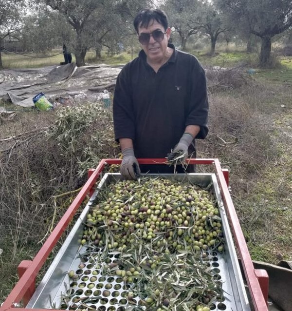 Ο στρατηγός πήγε να μαζέψει ελιές