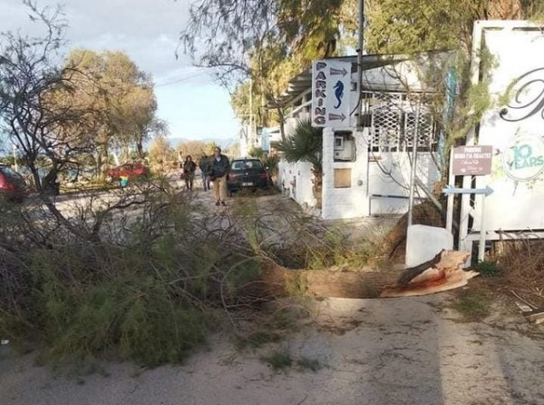 ΑΛΥΚΕΣ ΔΡΟΣΙΑΣ: Ο αέρας έσπασε δένδρα και προκάλεσε ζημιές σε οχήματα (φωτό)