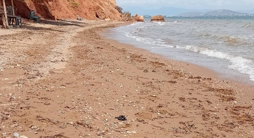 AΥΛΙΔΑ: Εθελοντές καθάρισαν την «Γαλάζια λίμνη»