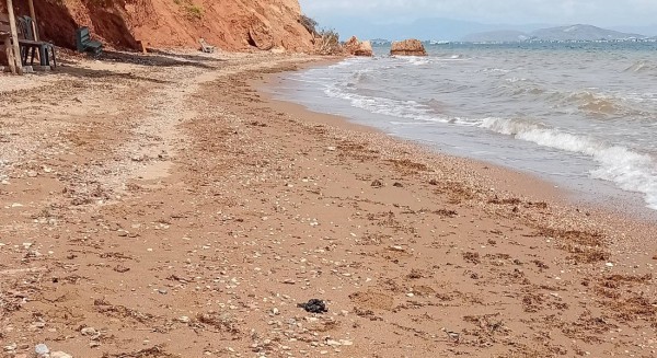 AΥΛΙΔΑ: Εθελοντές καθάρισαν την «Γαλάζια λίμνη»