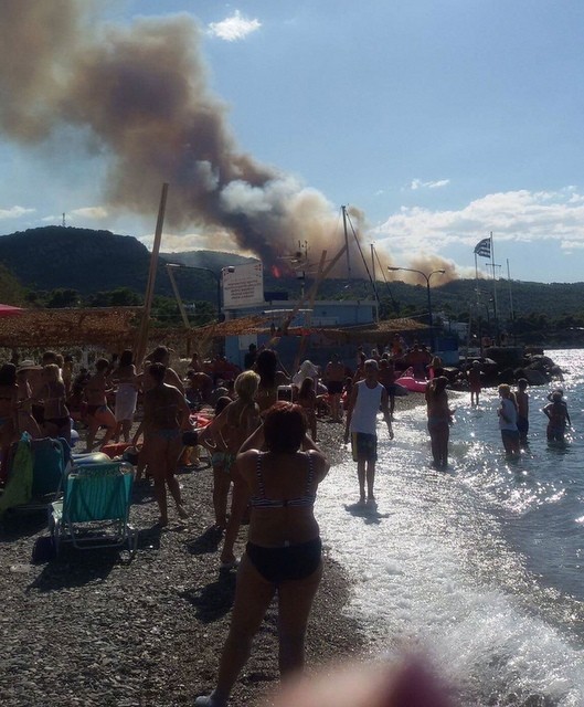 ΕΡΕΤΡΙΑ: Πυκνοί καπνοί αναστάτωσαν τους λουόμενους (pic)
