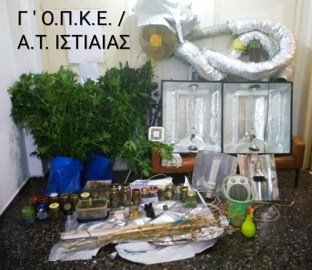 ΙΣΤΙΑΙΑ: Οργανωμένη εγκατάσταση καλλιέργειας χασίς μέσα στο σπίτι 39χρονου