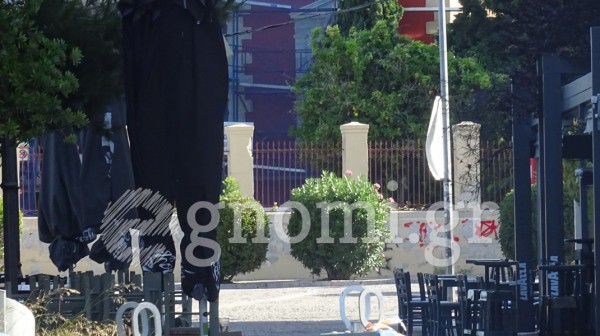 ΧΑΛΚΙΔΑ ΚΡΗΠΙΔΩΜΑ: Αδέσποτα κυνήγησαν και σκότωσαν γατάκι - Υπήρχαν μικρά παιδιά στις καφετέριες