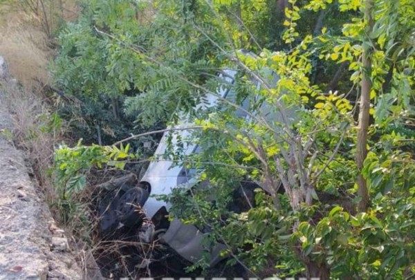 ΣΤΥΛΙΔΑ: 25χρονη έπεσε από γέφυρα με το ΙΧ, καρφώθηκε σε δέντρο και βγήκε ...αγρατζούνιστη