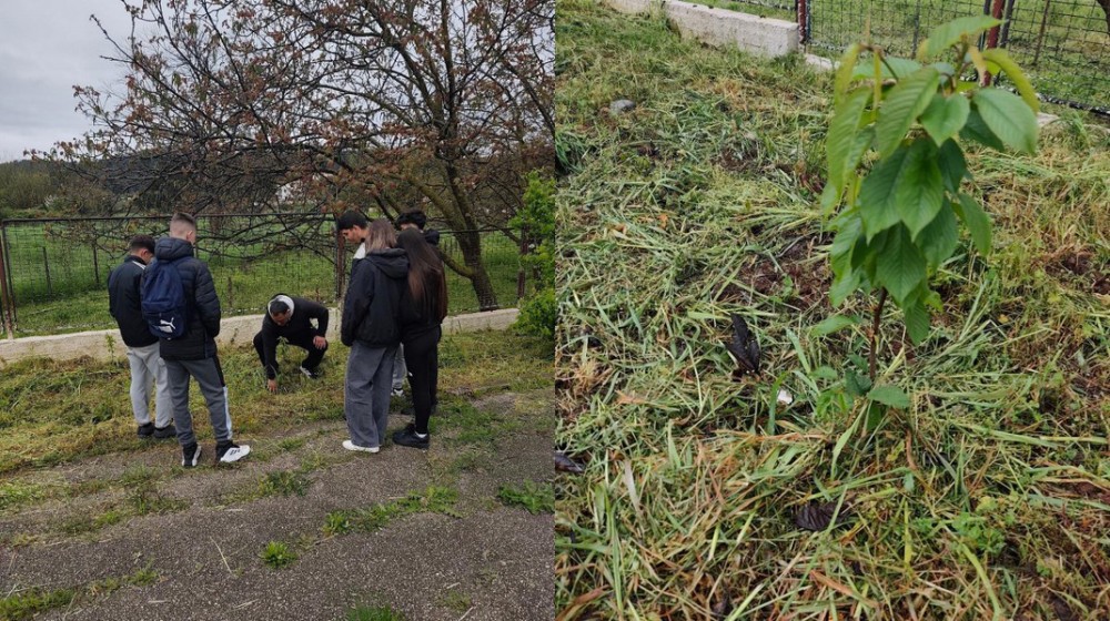 Πράσινη δράση με ενεργή συμμετοχή μαθητών στο ΕΠΑΛ Μαντουδίου