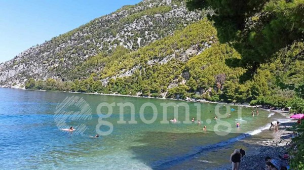 ΔΑΦΝΗ ΝΕΡΟΤΡΙΒΙΑΣ: Βρέθηκε οβίδα μέσα στη θάλασσα σε απόσταση μόλις δύο μέτρων από την ακτογραμμή