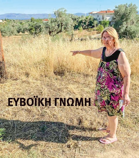 ΚΑΛΛΙΘΕΑ ΑΜΑΡΥΝΘΟΥ: Εξοντώνουν αδέσποτα