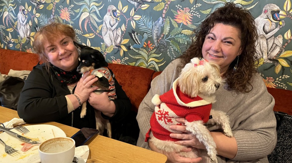 ΧΑΛΚΙΔΑ: Δύο φίλες πήγαν για καφέ με τα σκυλάκια τους